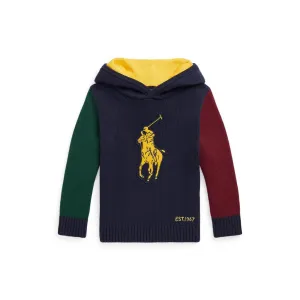 Big Pony Cotton Hooded Sweater (Toddler)