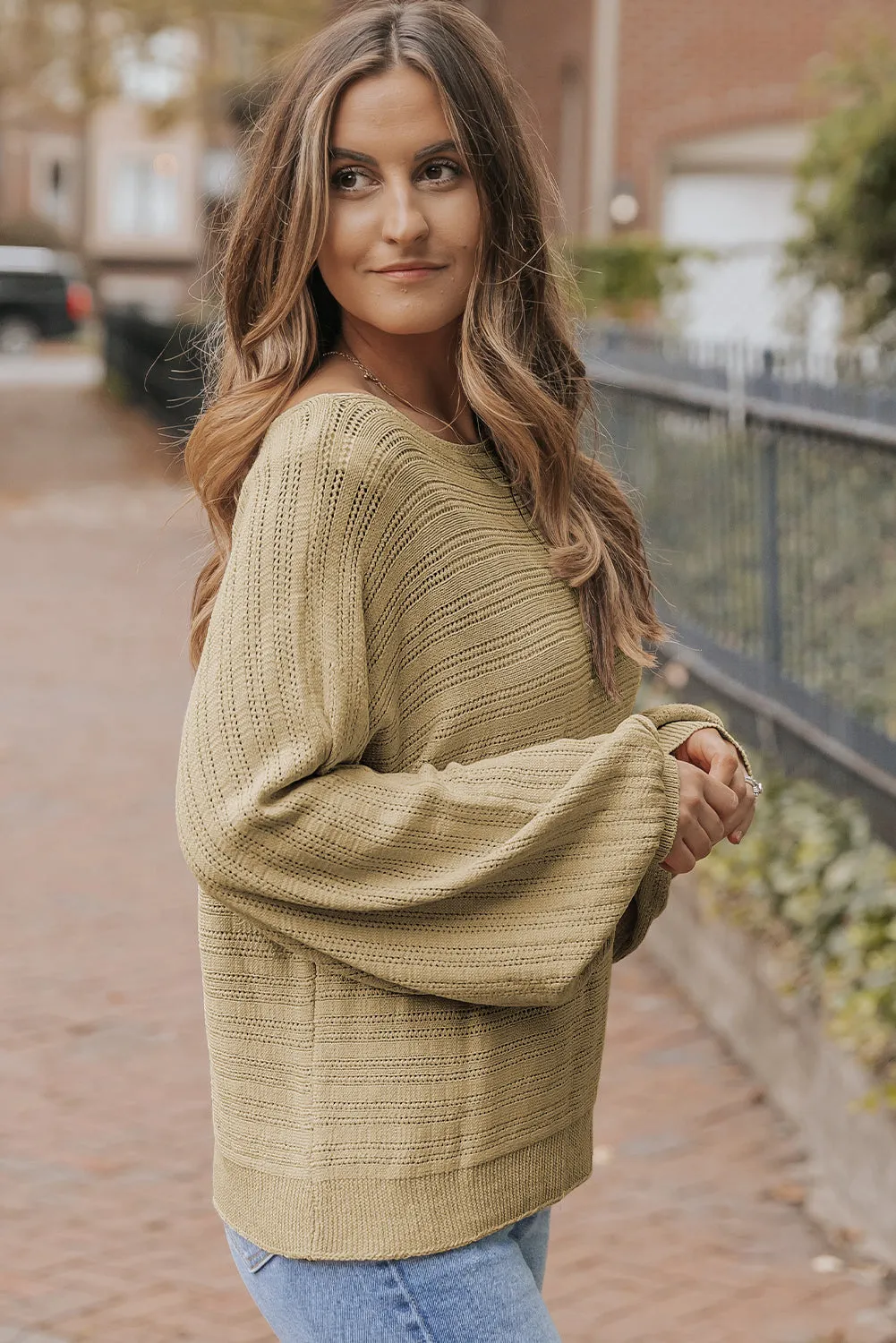 Lantern Sleeve Textured Knit Sweater