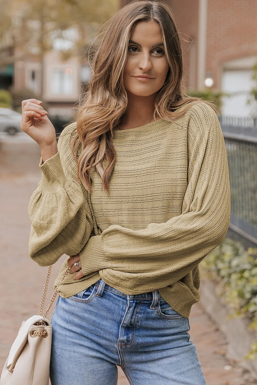 Lantern Sleeve Textured Knit Sweater